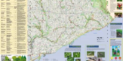 Map of parks and walking trails East Toronto