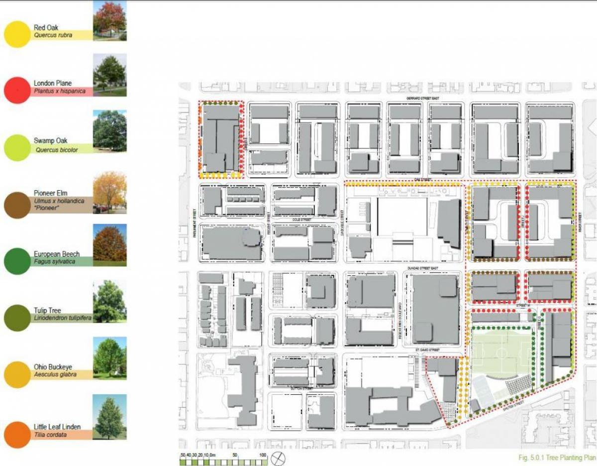 Map of Revitalization plan Regent Park Toronto phase 3